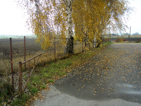Foto 20